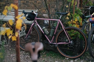 Pink Brother Cycles Kepler with tan-wall Teravail tyres parked among autumn leaves beside other bikes in a courtyard garden.
