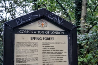 Corporation of London information board for Epping Forest listing the forest byelaws, among trees.
