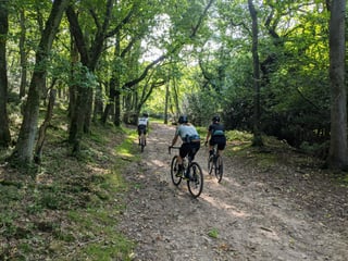 Three riders on gravel bikes climb a dappled woodland track on the Quantock Hills route.