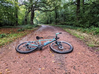 Teal Stayer Groadinger UG lying on a leaf-strewn reddish gravel track between trees in Epping Forest.