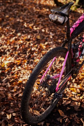 Pink gravel bike's rear wheel with a muddy Maxxis Ravager tyre and saddle bag, among fallen autumn leaves.