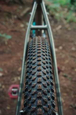 Rear view of a knobbly Panaracer tyre between the titanium seatstays of the Planet X Tempest.