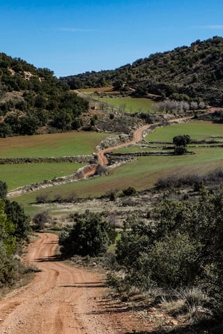 Red dirt road winding between green fields and scrub-covered hills under a clear blue sky.
