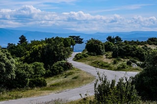 Narrow tarmac road curving through scrub and pines, with blue hills and cumulus cloud beyond.
