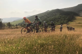 A string of Grinduro 2021 riders crosses a meadow of long dry grass above wooded hills near Machynlleth.