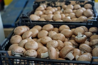 Crates of fresh mushrooms waiting to be cooked into meals at the Firepot Food kitchen in Dorset.