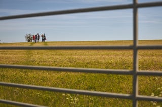 A group of walkers heads across a field seen through a metal farm gate on the route to Lyme Regis.