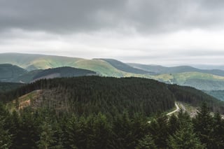Pine forest and rolling green hills under grey cloud in the Dyfi Forest, where Grinduro 2021 was staged.