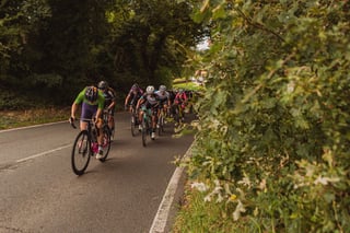 The green jersey leads the Women's Tour of Britain bunch down a shaded, hedge-lined lane in Essex.
