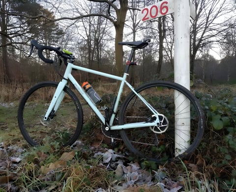 Specialized Sequoia Elite steel adventure bike in pale green leaning on a white post in frosty woodland.