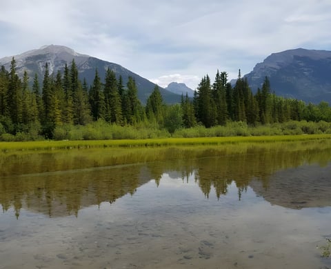 Calm lake reflecting conifers below bare mountain peaks, the kind of scenery the Tour Divide rides through.