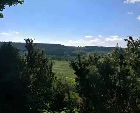 View across a green valley and forested hillside on the Dalby to the Moors route in North Yorkshire.