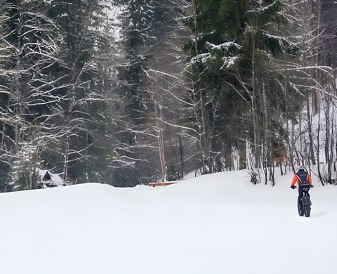 Fatbike rider in an orange jacket crosses deep snow beside a forest at the Snow Bike Festival in Gstaad.