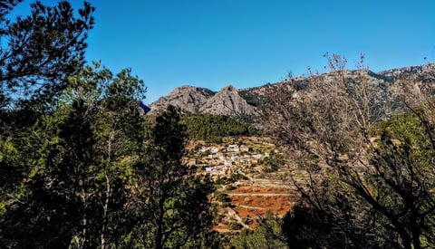Village of white houses in a terraced valley, seen through trees with Tramuntana crags behind in Mallorca.