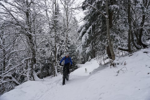 Rider on a fat bike in Gore Primaloft clothing on a snow-covered woodland path, a dog in the distance.