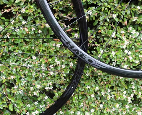 Halo Vapour GXC gravel wheel rims overlapping in front of a flowering hedge, logo on the rim.
