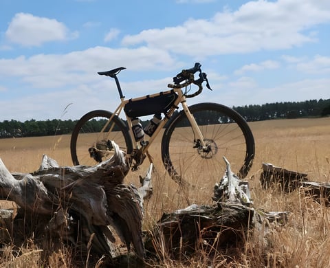 Fearless Vulture in quicksand with a frame bag stands among dead tree roots on a parched Suffolk field.
