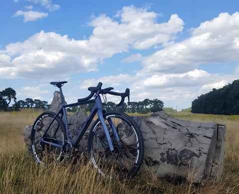 Lauf True Grit gravel bike in blue leaning on a fallen log in a grassy field under a cloudy sky.