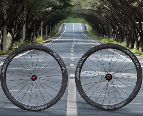 Halo Carbaura RC carbon road wheelset, front and rear, standing on a tree-lined road.
