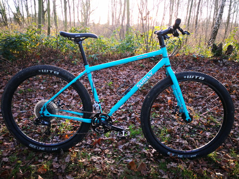 Surly Bridge Club flat-bar bike in teal on WTB Beeline 2.2 tyres, parked among fallen leaves in woodland.