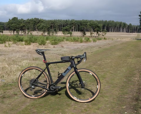 3T Exploro LTD gravel bike with tan-wall tyres parked on grass heathland with pine trees behind.