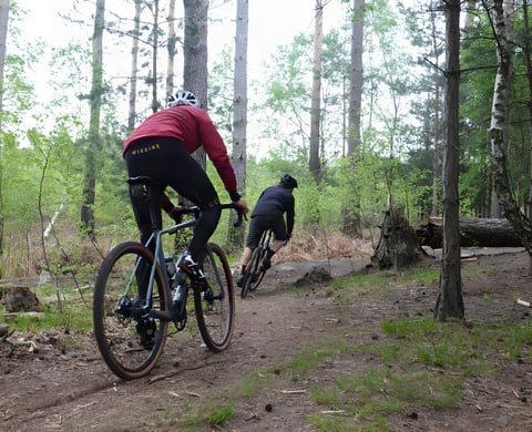 Two riders on gravel bikes follow a singletrack trail through pine woods in Swinley Forest ahead of the Gravel’duro.