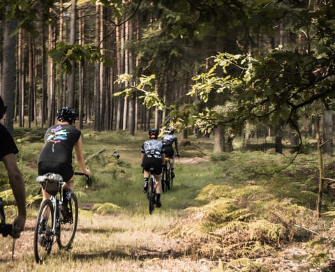 Riders on gravel bikes follow a grassy forest track in Germany during the 8bar Pathfinder event.