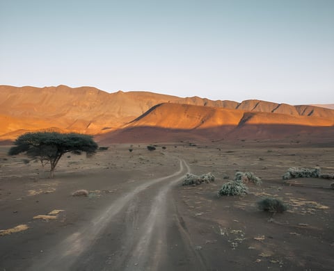 Dirt track winds towards sunlit ochre mountains past an acacia tree in Morocco, the setting for the Atlas Mountain Race.