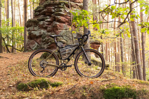 Side view of the Tout Terrain Vasco loaded with frame and handlebar bags on a forest trail in autumn.