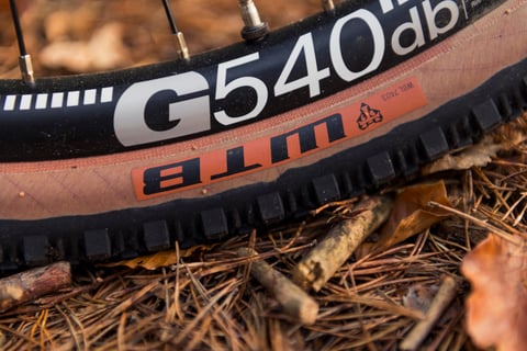 DT Swiss G540 db rim and WTB tyre tread detail on a Tout Terrain Vasco, with pine needles on the ground.