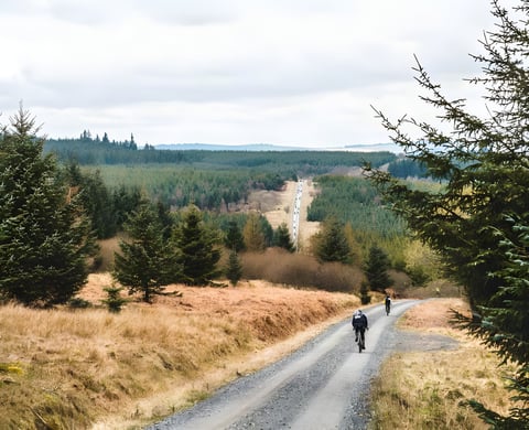 Dirty Reiver riders and bikes gather at the start beside Kielder Castle in low morning sun.