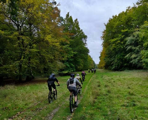 A group of riders follows a grass and dirt track between autumn trees on the Phoenix Cycleworks Suffolk Gravel ride.