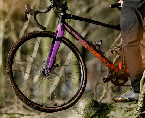 Mud-caked WTB Raddler gravel tyre on a purple-forked drop-bar bike held by its rider in a bare winter wood.