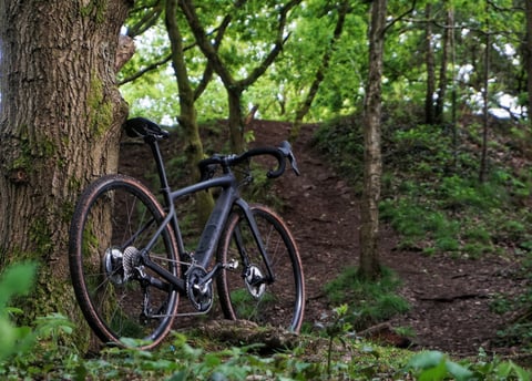 Matte black Specialized Diverge Comp Carbon gravel bike leaning against a tree trunk beside a woodland track.