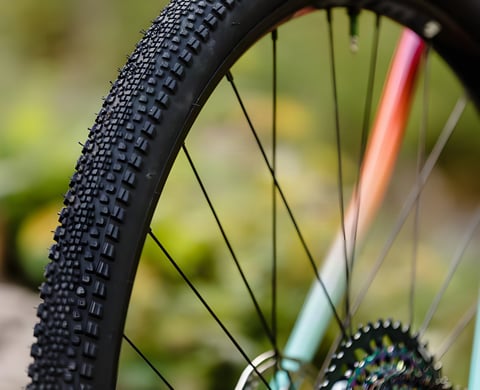 WTB Riddler gravel tyre on a wheel, rows of small central knobs and larger shoulder blocks, against blurred greenery.