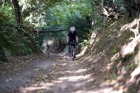Lone rider rides through a deep, tree-lined holloway during the Great British Escapade.