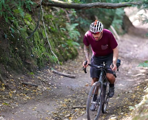 Great British Escapade rider climbs a sunken wooded track beneath a fallen branch.