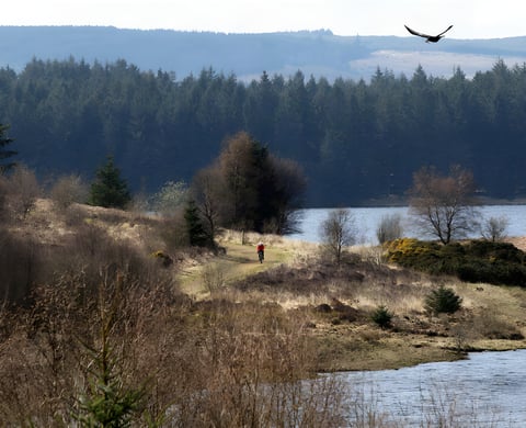 Lone rider in red on a gravel track beside a reservoir below conifer forest, the kind of terrain the Dirty Reiver covers.