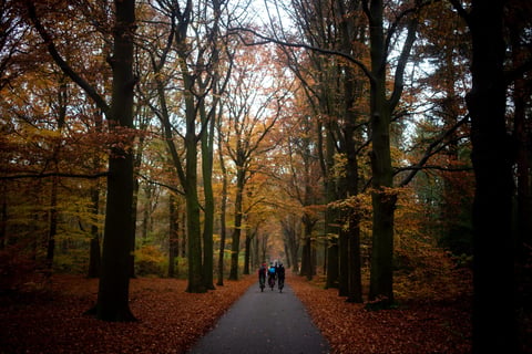 Three cyclists ride a tarmac lane through autumn woodland, header image for the AUTMNL ADVNTR photo challenge winners.