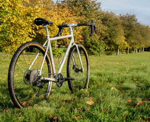 Temple Adventure Disc 1 steel gravel bike in Lichen Green with tan-wall tyres on autumn grass beside trees.
