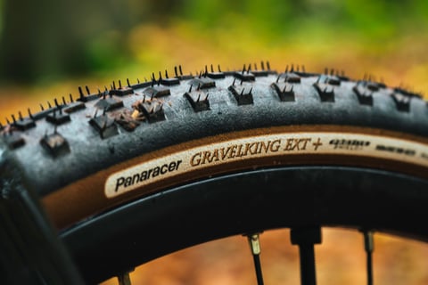 Close-up of a Panaracer GravelKing EXT Plus tyre's tan sidewall and square tread knobs in autumn woodland.
