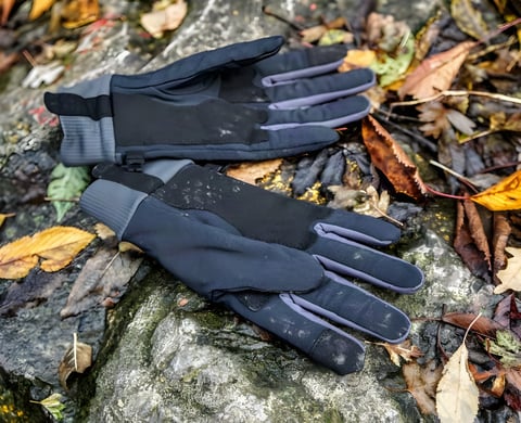 Sealskinz Waterproof All Weather Lightweight gloves with Fusion Control on a wet rock among autumn leaves.