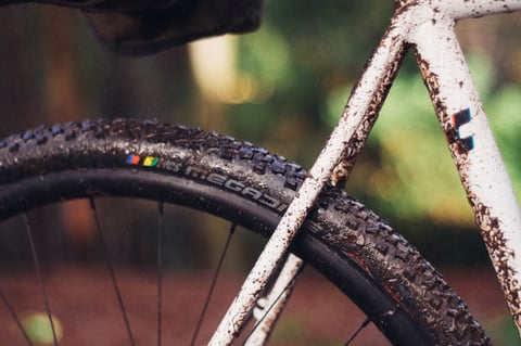 Mud-splattered Ritchey MegaBite WCS cyclo-cross tyre beside a white frame tube, close up in woodland.