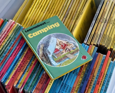 The 1977 Ladybird Learnabout Camping book lying on rows of other Ladybird titles.