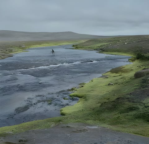 Lone cyclist wades a wide grey river on the Sprengisandur plateau in Iceland during Rapha's 2015 crossing attempt.
