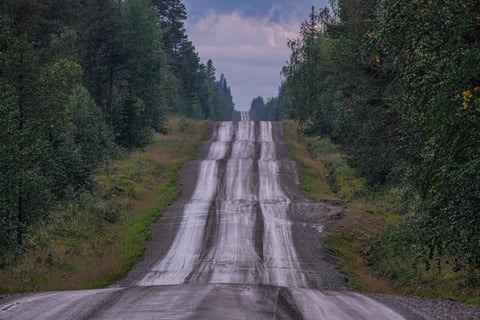 Wet gravel road rolling straight through dense conifer forest under a grey sky.