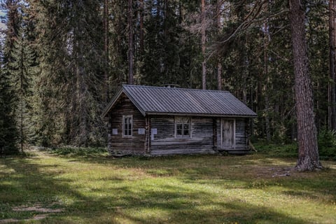 Old log cabin with a metal roof in a clearing among spruce and pine forest in northern Europe.