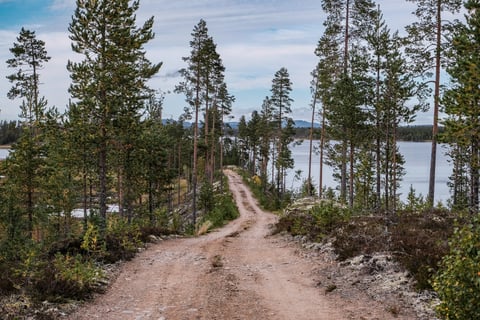 Sandy track along a pine-covered ridge above a wide lake on the European Divide Trail.