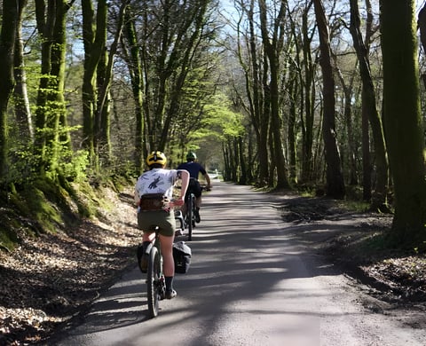 Two riders on loaded bikes in Machines For Freedom off-road kit ride down a tree-lined lane.