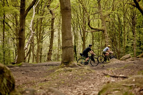 Two riders on loaded gravel bikes pass between trees on a rooty woodland trail during the Tour de Restrap overnighter.